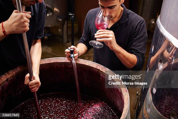wine expert tastes the wine before closing barrels - wine tasting stockfoto's en -beelden