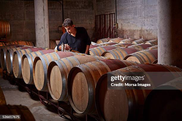 worker filling up the barrels - cellier photos et images de collection