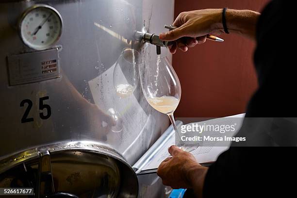 oenologist taking wine samples - examining wine stock pictures, royalty-free photos & images