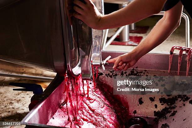 wine draining - winemaking - fotografias e filmes do acervo