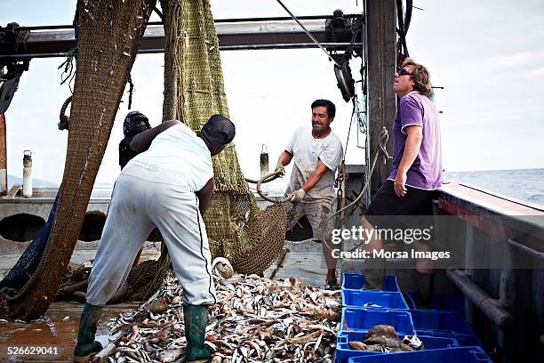Unloading Fish 2,387 Unloading Fish Stock Photos, High-Res Pictures, and Images ...