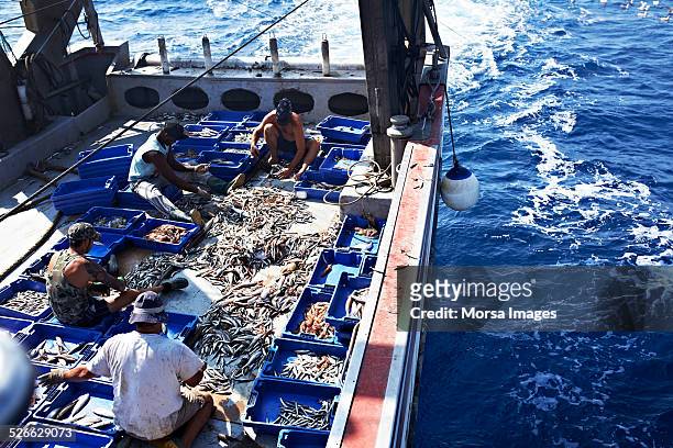 fishermen working on fishing trawler - trawler stock pictures, royalty-free photos & images