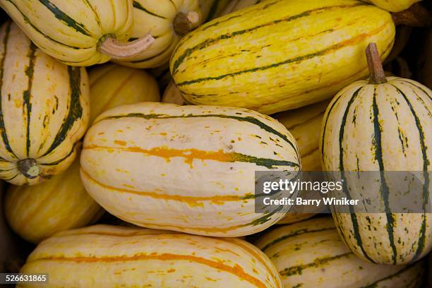 delicata squash - delicata squash stock pictures, royalty-free photos & images