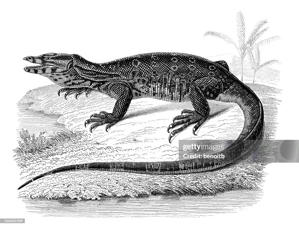 Water Monitor