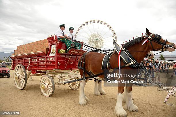 Clydesdale horses are seen during 2016 Stagecoach California's Country Music Festival at Empire Polo Club on April 30, 2016 in Indio, California.