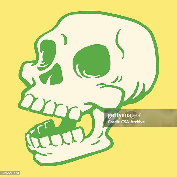 12 792点のドクロ イラストのストックフォト Getty Images 12 792点のドクロ イラストのストックフォト Getty Images