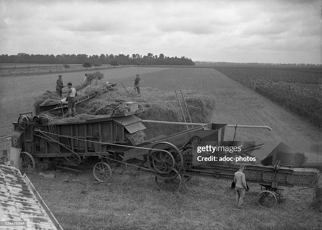 The harvest (France). In 1935.
