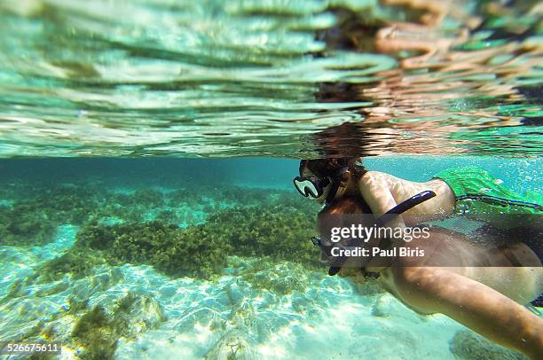 father and son scuba diving in malta - malta diving stock pictures, royalty-free photos & images