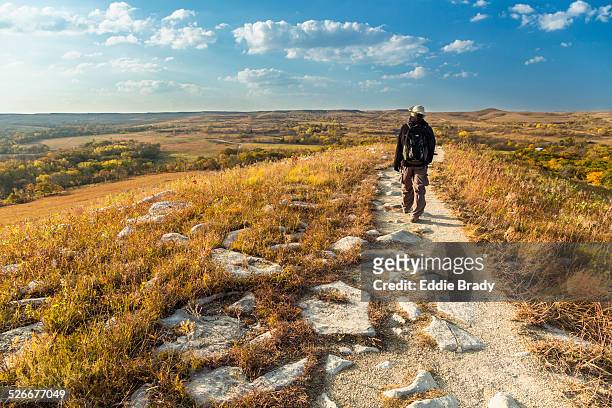 a hiker on the konza prairie nature trail - kansas nature stock pictures, royalty-free photos & images