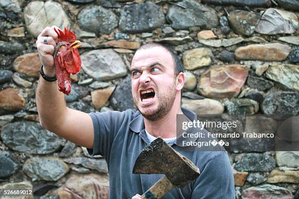 man killing a rooster - scared chicken stock pictures, royalty-free photos & images