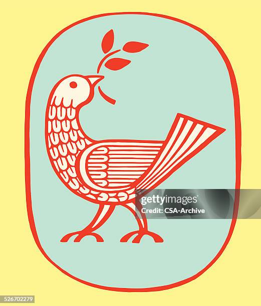 ilustraciones, imágenes clip art, dibujos animados e iconos de stock de pájaro derivación de retención - paloma ave