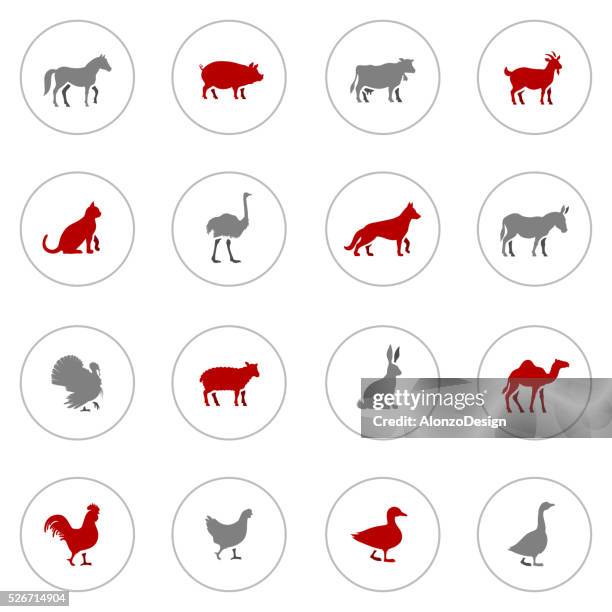 symbol-set der bauernhof tiere - ente geflügelfleisch stock-grafiken, -clipart, -cartoons und -symbole