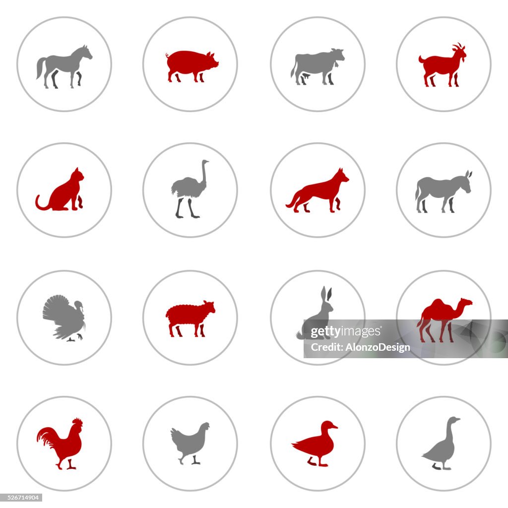 Icon Set Of Farm Animals High-Res Vector Graphic - Getty Images