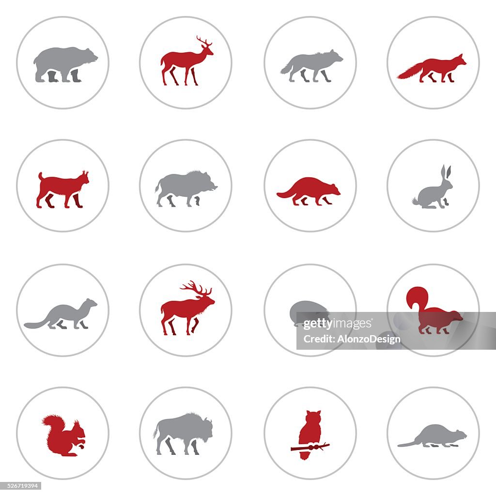 Wild Animals Icon Set