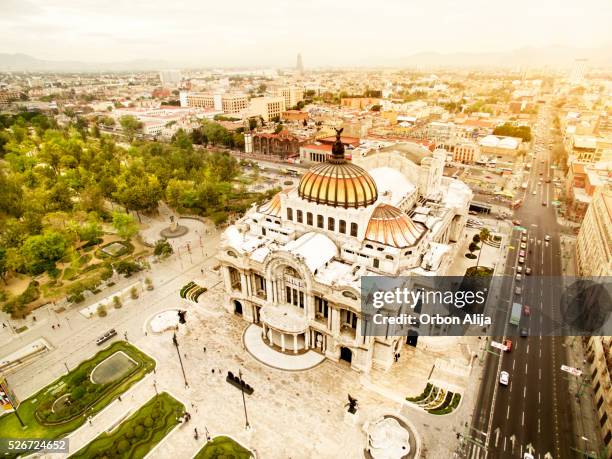 fine arts palace - palacio de bellas artes stockfoto's en -beelden