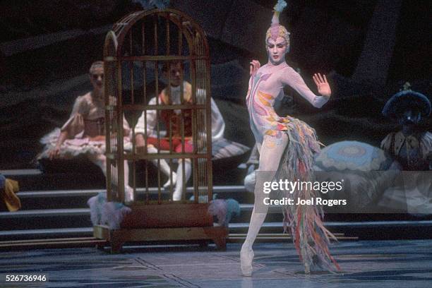 Dancer performs as a bird in the Nutcracker Suite. The Pacific Northwest Ballet is well known for its performances featuring sets and costumes by...