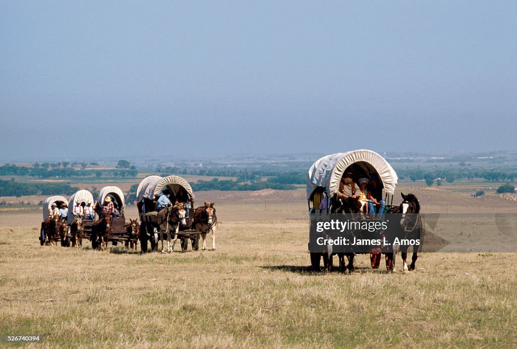 Covered Wagons Traveling on the Oregon Trail