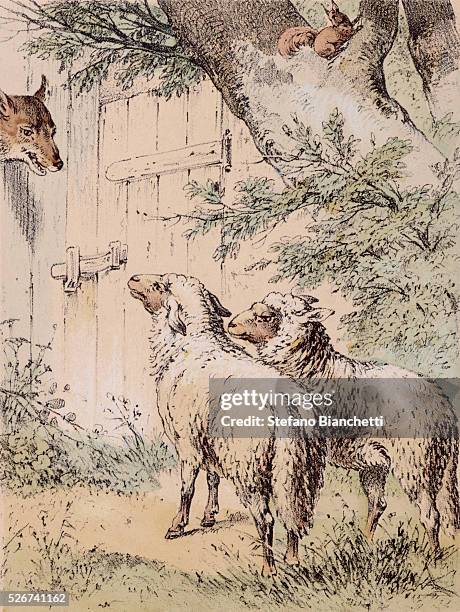 The Wolf and the Ewe, Illustration from the Tales of Franz Hoffmann