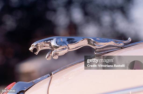 https://media.gettyimages.com/id/526743920/de/foto/detail-of-the-hood-ornament-on-a-jaguar-automobile.jpg?s=612x612&w=gi&k=20&c=2_rvtrEAhSSXzsZy-FHxoEWAPrfATDNA_aJyoRQuEP0=