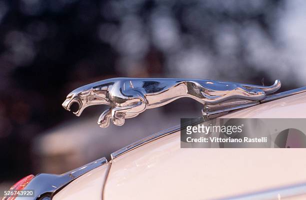 Detail of the hood ornament on a jaguar automobile.