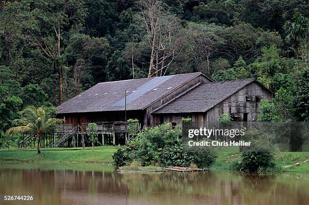 Traditional longhouses such as this can house several Iban families. Some longhouses are large enough for hundreds of people to live communally...