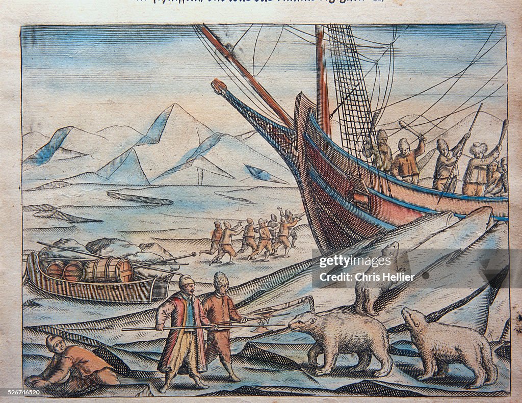 Engraving of Polar Bears Attacking Dutch Sailors by Theodor de Bry