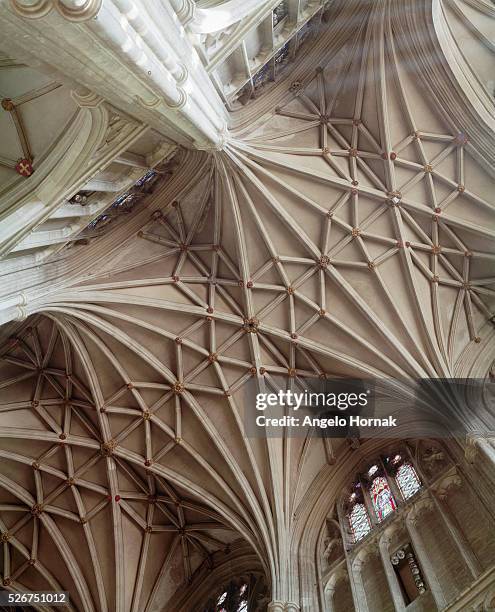 Vaulted Ribs 122 Rib Vaulting Stock Photos, High-Res Pictures, and Images - Getty Images