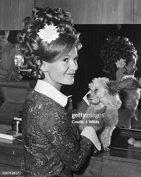 Actress Anna Palk holding her poodle Pompey, getting her hair styled at the Bruton Street salon, prior to her appearance at the Derby Playhouse in...