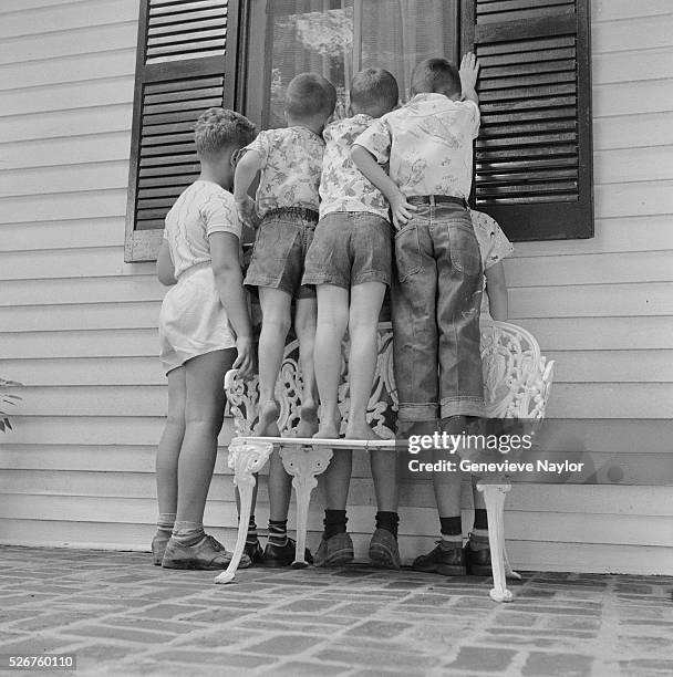 Group of Boys Looking in a Window