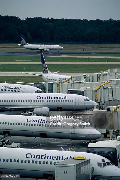 Continental Airlines Planes Parked at Flight Lines