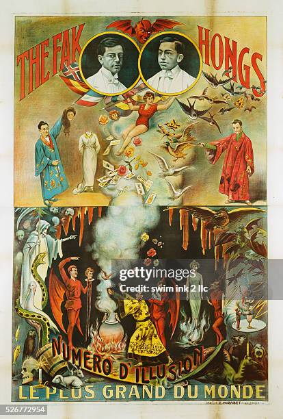 Magic Rabbit Fak 57 Rabbit Skull Stock Photos, High-Res Pictures, and Images - Getty Images