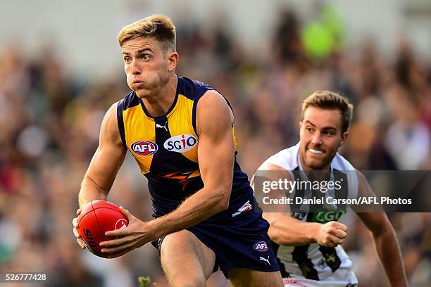 Brad Sheppard of the Eagles in action during the 2016 AFL Round 06 match between the West Coast Eagles and the Collingwood Magpies at Domain Stadium,...