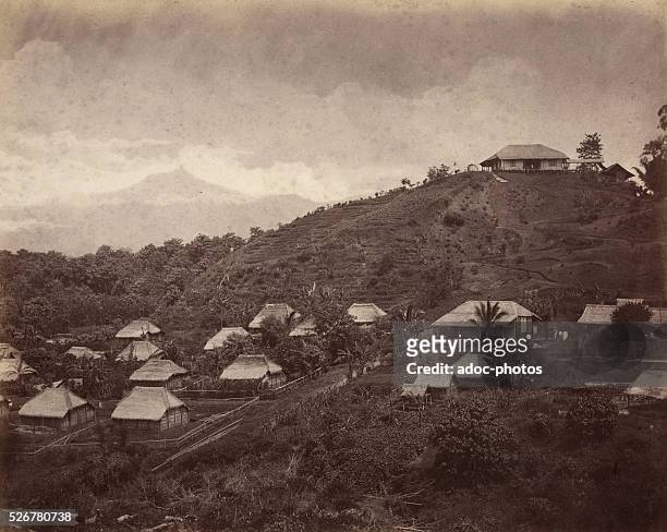 Coffee plantation near Lawang . Ca. 1875.