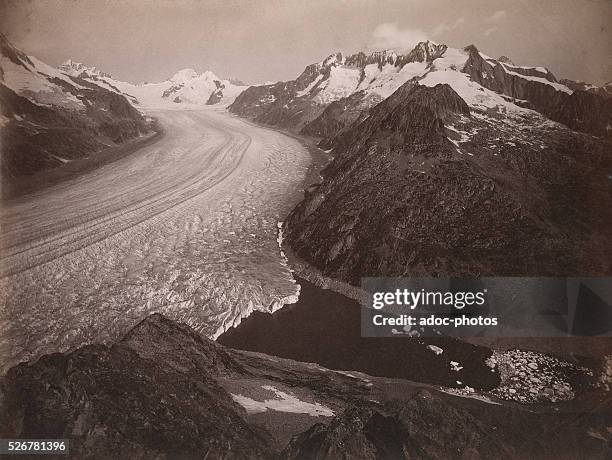The Great Aletsch Glacier . Ca. 1890.