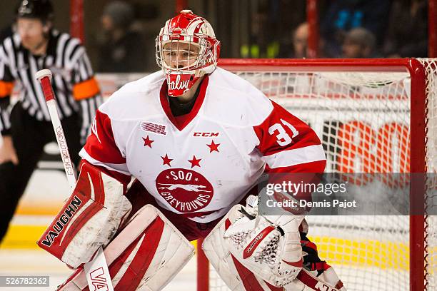 Goaltender Brandon Halverson of the Sault Ste. Marie Greyhounds prepares for a shot from the Windsor Spitfires on February 18, 2016 at the WFCU...