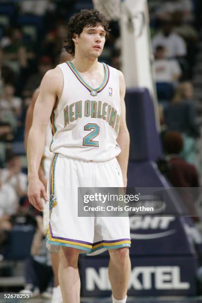 Dan Dickau of the New Orleans Hornets looks on during a break in the game against the Portland Trail Blazers at the New Orleans Arena on April 10,...