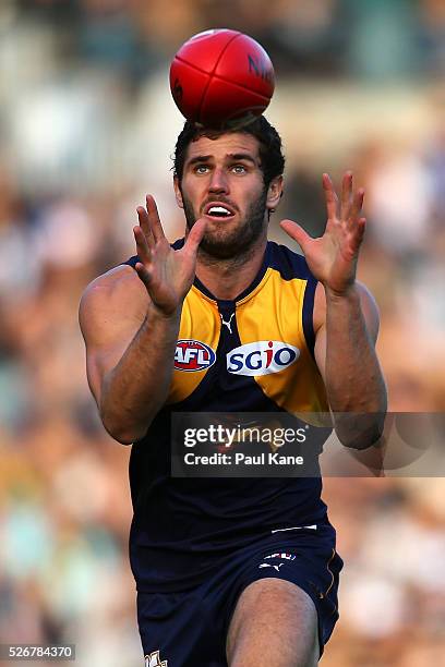 Jack Darling of the Eagles marks the ball during the round six AFL match between the West Coast Eagles and the Collingwood Magpies at Domain Stadium...