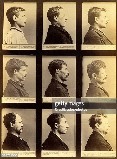 Bertillon System.drawing 458 Bertillon System Stock Photos, High-Res Pictures, and Images ...