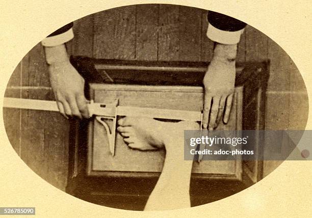 Bertillon System.drawing 458 Bertillon System Stock Photos, High-Res Pictures, and Images ...