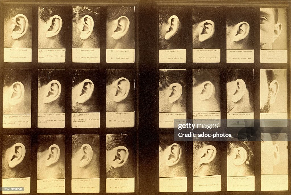 Bertillon System.drawing Alphonse Bertillon’S Anthropometric Identification System – UOOO