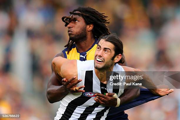 Nic Naitanui of the Eagles and Brodie Grundy of the Magpies contest the ruck during the round six AFL match between the West Coast Eagles and the...