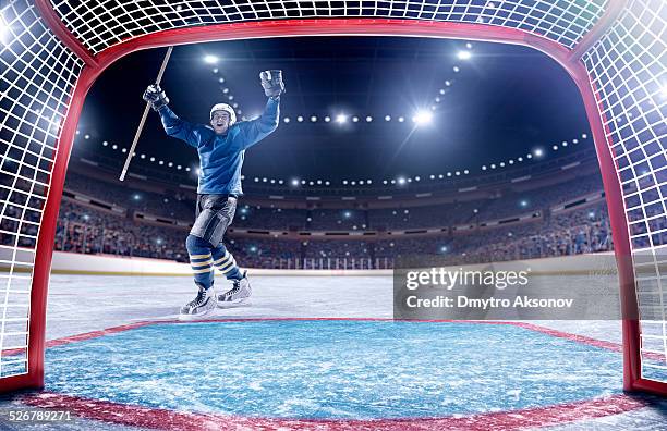 Carl Fish 17,571 Hockey Action Shot Stock Photos, High-Res Pictures, and Images ...