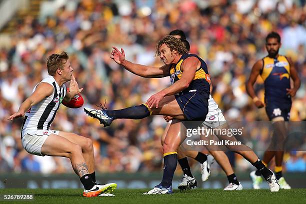 Matt Priddis of the Eagles kicks the ball forward during the round six AFL match between the West Coast Eagles and the Collingwood Magpies at Domain...