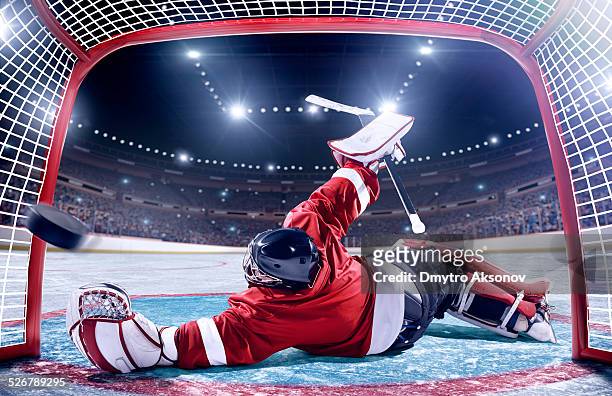ice hockey game scoring - hockey goalie stockfoto's en -beelden