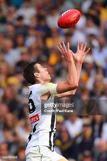 Mason Cox of the Magpies marks the ball during the round six AFL match between the West Coast Eagles and the Collingwood Magpies at Domain Stadium on...