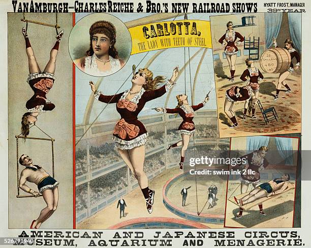 Poster Advertisement for American and Japanese Circus, Museum, Aquarium and Menagerie
