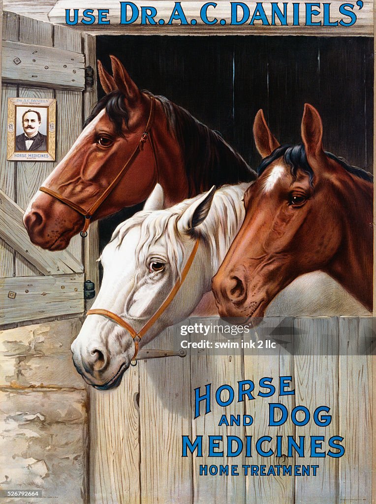 Use Dr. A.C. Daniels' Horse and Dog Medicines Poster