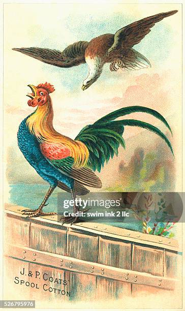 Coats Spool Cotton Trade Card with Rooster