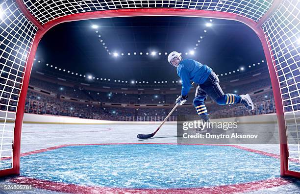 ice hockey player scoring - ice hockey stadium stock pictures, royalty-free photos & images