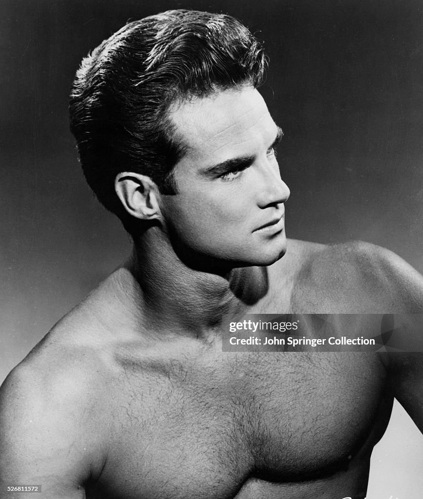 Body Builder Steve Reeves Steve Reeves |||—||| Follow